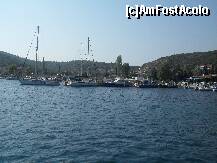 [P01]  -- <small>// FĂRĂ DESCRIERE</small> » foto by aliantasudului
 - 
<span class="allrVoted glyphicon glyphicon-heart hidden" id="av255759"></span>
<a class="m-l-10 hidden" id="sv255759" onclick="voting_Foto_DelVot(,255759,7330)" role="button">șterge vot <span class="glyphicon glyphicon-remove"></span></a>
<a id="v9255759" class=" c-red"  onclick="voting_Foto_SetVot(255759)" role="button"><span class="glyphicon glyphicon-heart-empty"></span> <b>LIKE</b> = Votează poza</a> <img class="hidden"  id="f255759W9" src="/imagini/loader.gif" border="0" /><span class="AjErrMes hidden" id="e255759ErM"></span>