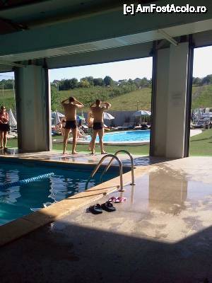 [P02]  -- <small>// FĂRĂ DESCRIERE</small> » foto by diana-camelia*
 - 
<span class="allrVoted glyphicon glyphicon-heart hidden" id="av450188"></span>
<a class="m-l-10 hidden" id="sv450188" onclick="voting_Foto_DelVot(,450188,7361)" role="button">șterge vot <span class="glyphicon glyphicon-remove"></span></a>
<a id="v9450188" class=" c-red"  onclick="voting_Foto_SetVot(450188)" role="button"><span class="glyphicon glyphicon-heart-empty"></span> <b>LIKE</b> = Votează poza</a> <img class="hidden"  id="f450188W9" src="/imagini/loader.gif" border="0" /><span class="AjErrMes hidden" id="e450188ErM"></span>