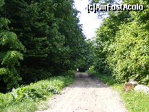 [P10] Comuna Rachitoasa /  » foto by dan_ramy*
 - 
<span class="allrVoted glyphicon glyphicon-heart hidden" id="av224528"></span>
<a class="m-l-10 hidden" id="sv224528" onclick="voting_Foto_DelVot(,224528,7361)" role="button">șterge vot <span class="glyphicon glyphicon-remove"></span></a>
<a id="v9224528" class=" c-red"  onclick="voting_Foto_SetVot(224528)" role="button"><span class="glyphicon glyphicon-heart-empty"></span> <b>LIKE</b> = Votează poza</a> <img class="hidden"  id="f224528W9" src="/imagini/loader.gif" border="0" /><span class="AjErrMes hidden" id="e224528ErM"></span>