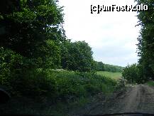 [P11] Comuna Rachitoasa /  » foto by dan_ramy*
 - 
<span class="allrVoted glyphicon glyphicon-heart hidden" id="av224529"></span>
<a class="m-l-10 hidden" id="sv224529" onclick="voting_Foto_DelVot(,224529,7361)" role="button">șterge vot <span class="glyphicon glyphicon-remove"></span></a>
<a id="v9224529" class=" c-red"  onclick="voting_Foto_SetVot(224529)" role="button"><span class="glyphicon glyphicon-heart-empty"></span> <b>LIKE</b> = Votează poza</a> <img class="hidden"  id="f224529W9" src="/imagini/loader.gif" border="0" /><span class="AjErrMes hidden" id="e224529ErM"></span>