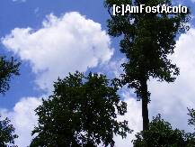 [P08] Comuna Rachitoasa /  » foto by dan_ramy*
 - 
<span class="allrVoted glyphicon glyphicon-heart hidden" id="av224526"></span>
<a class="m-l-10 hidden" id="sv224526" onclick="voting_Foto_DelVot(,224526,7361)" role="button">șterge vot <span class="glyphicon glyphicon-remove"></span></a>
<a id="v9224526" class=" c-red"  onclick="voting_Foto_SetVot(224526)" role="button"><span class="glyphicon glyphicon-heart-empty"></span> <b>LIKE</b> = Votează poza</a> <img class="hidden"  id="f224526W9" src="/imagini/loader.gif" border="0" /><span class="AjErrMes hidden" id="e224526ErM"></span>