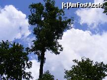 [P09] Comuna Rachitoasa /  » foto by dan_ramy*
 - 
<span class="allrVoted glyphicon glyphicon-heart hidden" id="av224527"></span>
<a class="m-l-10 hidden" id="sv224527" onclick="voting_Foto_DelVot(,224527,7361)" role="button">șterge vot <span class="glyphicon glyphicon-remove"></span></a>
<a id="v9224527" class=" c-red"  onclick="voting_Foto_SetVot(224527)" role="button"><span class="glyphicon glyphicon-heart-empty"></span> <b>LIKE</b> = Votează poza</a> <img class="hidden"  id="f224527W9" src="/imagini/loader.gif" border="0" /><span class="AjErrMes hidden" id="e224527ErM"></span>