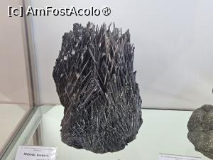 [P19] Flori  de mina de la muzeul din Baia Mare » foto by Opelantara
 - 
<span class="allrVoted glyphicon glyphicon-heart hidden" id="av1501417"></span>
<a class="m-l-10 hidden" id="sv1501417" onclick="voting_Foto_DelVot(,1501417,7399)" role="button">șterge vot <span class="glyphicon glyphicon-remove"></span></a>
<a id="v91501417" class=" c-red"  onclick="voting_Foto_SetVot(1501417)" role="button"><span class="glyphicon glyphicon-heart-empty"></span> <b>LIKE</b> = Votează poza</a> <img class="hidden"  id="f1501417W9" src="/imagini/loader.gif" border="0" /><span class="AjErrMes hidden" id="e1501417ErM"></span>