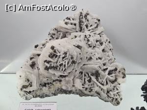 [P21] Flori  de Flori  de mina de la muzeul din Baia Maremina de la Baia Sprie » foto by Opelantara
 - 
<span class="allrVoted glyphicon glyphicon-heart hidden" id="av1501419"></span>
<a class="m-l-10 hidden" id="sv1501419" onclick="voting_Foto_DelVot(,1501419,7399)" role="button">șterge vot <span class="glyphicon glyphicon-remove"></span></a>
<a id="v91501419" class=" c-red"  onclick="voting_Foto_SetVot(1501419)" role="button"><span class="glyphicon glyphicon-heart-empty"></span> <b>LIKE</b> = Votează poza</a> <img class="hidden"  id="f1501419W9" src="/imagini/loader.gif" border="0" /><span class="AjErrMes hidden" id="e1501419ErM"></span>