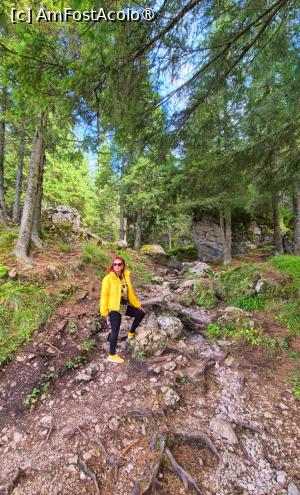 [P04] pe traseul Pietrele Doamnei » foto by Opelantara
 - 
<span class="allrVoted glyphicon glyphicon-heart hidden" id="av1501402"></span>
<a class="m-l-10 hidden" id="sv1501402" onclick="voting_Foto_DelVot(,1501402,7399)" role="button">șterge vot <span class="glyphicon glyphicon-remove"></span></a>
<a id="v91501402" class=" c-red"  onclick="voting_Foto_SetVot(1501402)" role="button"><span class="glyphicon glyphicon-heart-empty"></span> <b>LIKE</b> = Votează poza</a> <img class="hidden"  id="f1501402W9" src="/imagini/loader.gif" border="0" /><span class="AjErrMes hidden" id="e1501402ErM"></span>