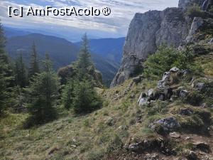 [P08] Varful Soimului » foto by Opelantara
 - 
<span class="allrVoted glyphicon glyphicon-heart hidden" id="av1501406"></span>
<a class="m-l-10 hidden" id="sv1501406" onclick="voting_Foto_DelVot(,1501406,7399)" role="button">șterge vot <span class="glyphicon glyphicon-remove"></span></a>
<a id="v91501406" class=" c-red"  onclick="voting_Foto_SetVot(1501406)" role="button"><span class="glyphicon glyphicon-heart-empty"></span> <b>LIKE</b> = Votează poza</a> <img class="hidden"  id="f1501406W9" src="/imagini/loader.gif" border="0" /><span class="AjErrMes hidden" id="e1501406ErM"></span>