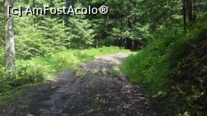 [P12]  -- <small>// FĂRĂ DESCRIERE</small> » foto by cristina.eu
 - 
<span class="allrVoted glyphicon glyphicon-heart hidden" id="av997263"></span>
<a class="m-l-10 hidden" id="sv997263" onclick="voting_Foto_DelVot(,997263,7399)" role="button">șterge vot <span class="glyphicon glyphicon-remove"></span></a>
<a id="v9997263" class=" c-red"  onclick="voting_Foto_SetVot(997263)" role="button"><span class="glyphicon glyphicon-heart-empty"></span> <b>LIKE</b> = Votează poza</a> <img class="hidden"  id="f997263W9" src="/imagini/loader.gif" border="0" /><span class="AjErrMes hidden" id="e997263ErM"></span>