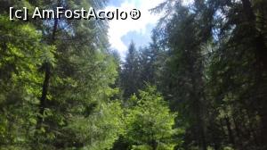 [P15]  -- <small>// FĂRĂ DESCRIERE</small> » foto by cristina.eu
 - 
<span class="allrVoted glyphicon glyphicon-heart hidden" id="av997266"></span>
<a class="m-l-10 hidden" id="sv997266" onclick="voting_Foto_DelVot(,997266,7399)" role="button">șterge vot <span class="glyphicon glyphicon-remove"></span></a>
<a id="v9997266" class=" c-red"  onclick="voting_Foto_SetVot(997266)" role="button"><span class="glyphicon glyphicon-heart-empty"></span> <b>LIKE</b> = Votează poza</a> <img class="hidden"  id="f997266W9" src="/imagini/loader.gif" border="0" /><span class="AjErrMes hidden" id="e997266ErM"></span>