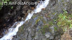 [P03]  -- <small>// FĂRĂ DESCRIERE</small> » foto by cristina.eu
 - 
<span class="allrVoted glyphicon glyphicon-heart hidden" id="av997247"></span>
<a class="m-l-10 hidden" id="sv997247" onclick="voting_Foto_DelVot(,997247,7399)" role="button">șterge vot <span class="glyphicon glyphicon-remove"></span></a>
<a id="v9997247" class=" c-red"  onclick="voting_Foto_SetVot(997247)" role="button"><span class="glyphicon glyphicon-heart-empty"></span> <b>LIKE</b> = Votează poza</a> <img class="hidden"  id="f997247W9" src="/imagini/loader.gif" border="0" /><span class="AjErrMes hidden" id="e997247ErM"></span>