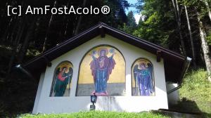 [P04]  -- <small>// FĂRĂ DESCRIERE</small> » foto by cristina.eu
 - 
<span class="allrVoted glyphicon glyphicon-heart hidden" id="av997248"></span>
<a class="m-l-10 hidden" id="sv997248" onclick="voting_Foto_DelVot(,997248,7399)" role="button">șterge vot <span class="glyphicon glyphicon-remove"></span></a>
<a id="v9997248" class=" c-red"  onclick="voting_Foto_SetVot(997248)" role="button"><span class="glyphicon glyphicon-heart-empty"></span> <b>LIKE</b> = Votează poza</a> <img class="hidden"  id="f997248W9" src="/imagini/loader.gif" border="0" /><span class="AjErrMes hidden" id="e997248ErM"></span>