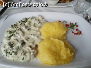[P20] Hribi cu smantana si mamaliguta » foto by tempesta55
 - 
<span class="allrVoted glyphicon glyphicon-heart hidden" id="av855389"></span>
<a class="m-l-10 hidden" id="sv855389" onclick="voting_Foto_DelVot(,855389,7399)" role="button">șterge vot <span class="glyphicon glyphicon-remove"></span></a>
<a id="v9855389" class=" c-red"  onclick="voting_Foto_SetVot(855389)" role="button"><span class="glyphicon glyphicon-heart-empty"></span> <b>LIKE</b> = Votează poza</a> <img class="hidden"  id="f855389W9" src="/imagini/loader.gif" border="0" /><span class="AjErrMes hidden" id="e855389ErM"></span>