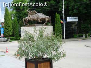 [P03] Dragoș Vodă și Zimbrul. » foto by tata123 🔱
 - 
<span class="allrVoted glyphicon glyphicon-heart hidden" id="av1242686"></span>
<a class="m-l-10 hidden" id="sv1242686" onclick="voting_Foto_DelVot(,1242686,7399)" role="button">șterge vot <span class="glyphicon glyphicon-remove"></span></a>
<a id="v91242686" class=" c-red"  onclick="voting_Foto_SetVot(1242686)" role="button"><span class="glyphicon glyphicon-heart-empty"></span> <b>LIKE</b> = Votează poza</a> <img class="hidden"  id="f1242686W9" src="/imagini/loader.gif" border="0" /><span class="AjErrMes hidden" id="e1242686ErM"></span>