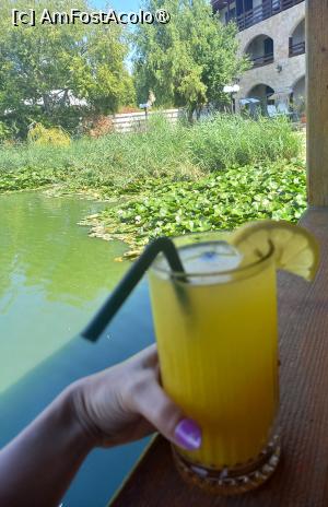 [P03] Limonada cu ghimbir, asezonata cu afine, în decorul cu nuferi » foto by mnn
 - 
<span class="allrVoted glyphicon glyphicon-heart hidden" id="av1497493"></span>
<a class="m-l-10 hidden" id="sv1497493" onclick="voting_Foto_DelVot(,1497493,7401)" role="button">șterge vot <span class="glyphicon glyphicon-remove"></span></a>
<a id="v91497493" class=" c-red"  onclick="voting_Foto_SetVot(1497493)" role="button"><span class="glyphicon glyphicon-heart-empty"></span> <b>LIKE</b> = Votează poza</a> <img class="hidden"  id="f1497493W9" src="/imagini/loader.gif" border="0" /><span class="AjErrMes hidden" id="e1497493ErM"></span>