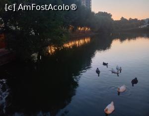 [P08] Ratustele la lăsarea serii » foto by mnn
 - 
<span class="allrVoted glyphicon glyphicon-heart hidden" id="av1497498"></span>
<a class="m-l-10 hidden" id="sv1497498" onclick="voting_Foto_DelVot(,1497498,7401)" role="button">șterge vot <span class="glyphicon glyphicon-remove"></span></a>
<a id="v91497498" class=" c-red"  onclick="voting_Foto_SetVot(1497498)" role="button"><span class="glyphicon glyphicon-heart-empty"></span> <b>LIKE</b> = Votează poza</a> <img class="hidden"  id="f1497498W9" src="/imagini/loader.gif" border="0" /><span class="AjErrMes hidden" id="e1497498ErM"></span>