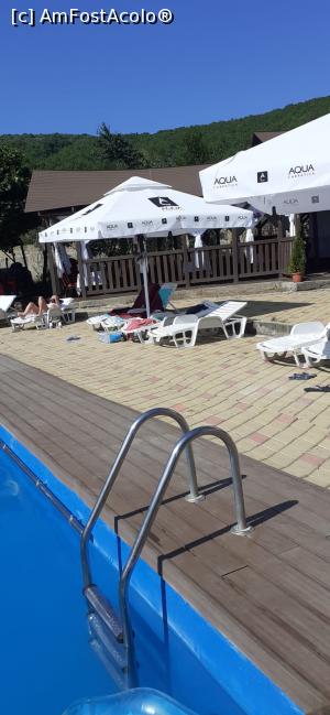 [P12] Curtea - Piscina » foto by delinyka
 - 
<span class="allrVoted glyphicon glyphicon-heart hidden" id="av1247134"></span>
<a class="m-l-10 hidden" id="sv1247134" onclick="voting_Foto_DelVot(,1247134,7402)" role="button">șterge vot <span class="glyphicon glyphicon-remove"></span></a>
<a id="v91247134" class=" c-red"  onclick="voting_Foto_SetVot(1247134)" role="button"><span class="glyphicon glyphicon-heart-empty"></span> <b>LIKE</b> = Votează poza</a> <img class="hidden"  id="f1247134W9" src="/imagini/loader.gif" border="0" /><span class="AjErrMes hidden" id="e1247134ErM"></span>