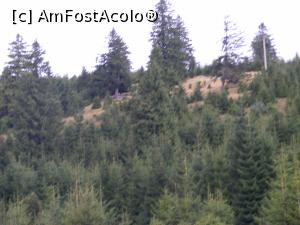 [P23] La revedere, brazilor!  » foto by liviu49
 - 
<span class="allrVoted glyphicon glyphicon-heart hidden" id="av928914"></span>
<a class="m-l-10 hidden" id="sv928914" onclick="voting_Foto_DelVot(,928914,7405)" role="button">șterge vot <span class="glyphicon glyphicon-remove"></span></a>
<a id="v9928914" class=" c-red"  onclick="voting_Foto_SetVot(928914)" role="button"><span class="glyphicon glyphicon-heart-empty"></span> <b>LIKE</b> = Votează poza</a> <img class="hidden"  id="f928914W9" src="/imagini/loader.gif" border="0" /><span class="AjErrMes hidden" id="e928914ErM"></span>