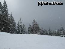 [P03] Ninge.....ninge.... » foto by raly
 - 
<span class="allrVoted glyphicon glyphicon-heart hidden" id="av133883"></span>
<a class="m-l-10 hidden" id="sv133883" onclick="voting_Foto_DelVot(,133883,7405)" role="button">șterge vot <span class="glyphicon glyphicon-remove"></span></a>
<a id="v9133883" class=" c-red"  onclick="voting_Foto_SetVot(133883)" role="button"><span class="glyphicon glyphicon-heart-empty"></span> <b>LIKE</b> = Votează poza</a> <img class="hidden"  id="f133883W9" src="/imagini/loader.gif" border="0" /><span class="AjErrMes hidden" id="e133883ErM"></span>