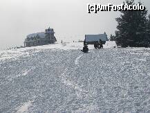 [P05] Partia de sanie » foto by raly
 - 
<span class="allrVoted glyphicon glyphicon-heart hidden" id="av133885"></span>
<a class="m-l-10 hidden" id="sv133885" onclick="voting_Foto_DelVot(,133885,7405)" role="button">șterge vot <span class="glyphicon glyphicon-remove"></span></a>
<a id="v9133885" class=" c-red"  onclick="voting_Foto_SetVot(133885)" role="button"><span class="glyphicon glyphicon-heart-empty"></span> <b>LIKE</b> = Votează poza</a> <img class="hidden"  id="f133885W9" src="/imagini/loader.gif" border="0" /><span class="AjErrMes hidden" id="e133885ErM"></span>