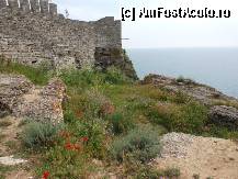 [P01] Cap Kaliakra - Cer, mare, stanca, vestigii antice si vegetatie la inceput de iunie. » foto by iulianic
 - 
<span class="allrVoted glyphicon glyphicon-heart hidden" id="av326166"></span>
<a class="m-l-10 hidden" id="sv326166" onclick="voting_Foto_DelVot(,326166,7421)" role="button">șterge vot <span class="glyphicon glyphicon-remove"></span></a>
<a id="v9326166" class=" c-red"  onclick="voting_Foto_SetVot(326166)" role="button"><span class="glyphicon glyphicon-heart-empty"></span> <b>LIKE</b> = Votează poza</a> <img class="hidden"  id="f326166W9" src="/imagini/loader.gif" border="0" /><span class="AjErrMes hidden" id="e326166ErM"></span>