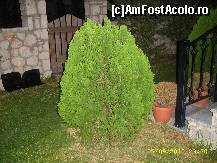 [P08] vila santa emelia » foto by raduu1972
 - 
<span class="allrVoted glyphicon glyphicon-heart hidden" id="av136736"></span>
<a class="m-l-10 hidden" id="sv136736" onclick="voting_Foto_DelVot(,136736,7461)" role="button">șterge vot <span class="glyphicon glyphicon-remove"></span></a>
<a id="v9136736" class=" c-red"  onclick="voting_Foto_SetVot(136736)" role="button"><span class="glyphicon glyphicon-heart-empty"></span> <b>LIKE</b> = Votează poza</a> <img class="hidden"  id="f136736W9" src="/imagini/loader.gif" border="0" /><span class="AjErrMes hidden" id="e136736ErM"></span>