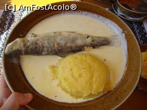 [P19] Păstrăvul în smântână comandat de către soție. La final nu au mai rămas decât vreo câteva oscioare!  » foto by Floryn81
 - 
<span class="allrVoted glyphicon glyphicon-heart hidden" id="av755691"></span>
<a class="m-l-10 hidden" id="sv755691" onclick="voting_Foto_DelVot(,755691,7474)" role="button">șterge vot <span class="glyphicon glyphicon-remove"></span></a>
<a id="v9755691" class=" c-red"  onclick="voting_Foto_SetVot(755691)" role="button"><span class="glyphicon glyphicon-heart-empty"></span> <b>LIKE</b> = Votează poza</a> <img class="hidden"  id="f755691W9" src="/imagini/loader.gif" border="0" /><span class="AjErrMes hidden" id="e755691ErM"></span>
