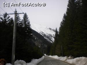 [P11] Transfagarasan, luna aprilie » foto by ceasornicarul
 - 
<span class="allrVoted glyphicon glyphicon-heart hidden" id="av1222452"></span>
<a class="m-l-10 hidden" id="sv1222452" onclick="voting_Foto_DelVot(,1222452,7508)" role="button">șterge vot <span class="glyphicon glyphicon-remove"></span></a>
<a id="v91222452" class=" c-red"  onclick="voting_Foto_SetVot(1222452)" role="button"><span class="glyphicon glyphicon-heart-empty"></span> <b>LIKE</b> = Votează poza</a> <img class="hidden"  id="f1222452W9" src="/imagini/loader.gif" border="0" /><span class="AjErrMes hidden" id="e1222452ErM"></span>