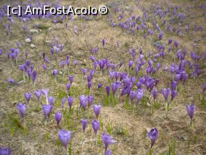 [P15]  -- <small>// FĂRĂ DESCRIERE</small> » foto by ceasornicarul
 - 
<span class="allrVoted glyphicon glyphicon-heart hidden" id="av1222456"></span>
<a class="m-l-10 hidden" id="sv1222456" onclick="voting_Foto_DelVot(,1222456,7508)" role="button">șterge vot <span class="glyphicon glyphicon-remove"></span></a>
<a id="v91222456" class=" c-red"  onclick="voting_Foto_SetVot(1222456)" role="button"><span class="glyphicon glyphicon-heart-empty"></span> <b>LIKE</b> = Votează poza</a> <img class="hidden"  id="f1222456W9" src="/imagini/loader.gif" border="0" /><span class="AjErrMes hidden" id="e1222456ErM"></span>
