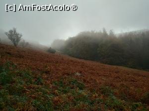 [P11] Zi tipic britanică în Lake District » foto by Marius 72
 - 
<span class="allrVoted glyphicon glyphicon-heart hidden" id="av1504363"></span>
<a class="m-l-10 hidden" id="sv1504363" onclick="voting_Foto_DelVot(,1504363,7515)" role="button">șterge vot <span class="glyphicon glyphicon-remove"></span></a>
<a id="v91504363" class=" c-red"  onclick="voting_Foto_SetVot(1504363)" role="button"><span class="glyphicon glyphicon-heart-empty"></span> <b>LIKE</b> = Votează poza</a> <img class="hidden"  id="f1504363W9" src="/imagini/loader.gif" border="0" /><span class="AjErrMes hidden" id="e1504363ErM"></span>