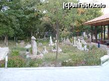 [P10] Cimitirul » foto by Anamaria_311
 - 
<span class="allrVoted glyphicon glyphicon-heart hidden" id="av225702"></span>
<a class="m-l-10 hidden" id="sv225702" onclick="voting_Foto_DelVot(,225702,7516)" role="button">șterge vot <span class="glyphicon glyphicon-remove"></span></a>
<a id="v9225702" class=" c-red"  onclick="voting_Foto_SetVot(225702)" role="button"><span class="glyphicon glyphicon-heart-empty"></span> <b>LIKE</b> = Votează poza</a> <img class="hidden"  id="f225702W9" src="/imagini/loader.gif" border="0" /><span class="AjErrMes hidden" id="e225702ErM"></span>