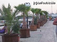 [P14] Intram in port » foto by Anamaria_311
 - 
<span class="allrVoted glyphicon glyphicon-heart hidden" id="av225706"></span>
<a class="m-l-10 hidden" id="sv225706" onclick="voting_Foto_DelVot(,225706,7516)" role="button">șterge vot <span class="glyphicon glyphicon-remove"></span></a>
<a id="v9225706" class=" c-red"  onclick="voting_Foto_SetVot(225706)" role="button"><span class="glyphicon glyphicon-heart-empty"></span> <b>LIKE</b> = Votează poza</a> <img class="hidden"  id="f225706W9" src="/imagini/loader.gif" border="0" /><span class="AjErrMes hidden" id="e225706ErM"></span>