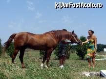 [P06] CIGAY Polonezul, un armasar legendar al hergheliei Mangalia, tatal multor cai nascuti acolo. » foto by sasrichard
 - 
<span class="allrVoted glyphicon glyphicon-heart hidden" id="av138735"></span>
<a class="m-l-10 hidden" id="sv138735" onclick="voting_Foto_DelVot(,138735,7516)" role="button">șterge vot <span class="glyphicon glyphicon-remove"></span></a>
<a id="v9138735" class=" c-red"  onclick="voting_Foto_SetVot(138735)" role="button"><span class="glyphicon glyphicon-heart-empty"></span> <b>LIKE</b> = Votează poza</a> <img class="hidden"  id="f138735W9" src="/imagini/loader.gif" border="0" /><span class="AjErrMes hidden" id="e138735ErM"></span>