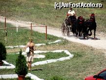 [P09] Festivalul Hipic, echipajul din Bistrita. » foto by sasrichard
 - 
<span class="allrVoted glyphicon glyphicon-heart hidden" id="av138741"></span>
<a class="m-l-10 hidden" id="sv138741" onclick="voting_Foto_DelVot(,138741,7516)" role="button">șterge vot <span class="glyphicon glyphicon-remove"></span></a>
<a id="v9138741" class=" c-red"  onclick="voting_Foto_SetVot(138741)" role="button"><span class="glyphicon glyphicon-heart-empty"></span> <b>LIKE</b> = Votează poza</a> <img class="hidden"  id="f138741W9" src="/imagini/loader.gif" border="0" /><span class="AjErrMes hidden" id="e138741ErM"></span>