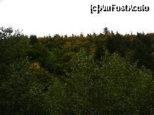 [P15] Culori ale naturii... » foto by Ionut Mihai*
 - 
<span class="allrVoted glyphicon glyphicon-heart hidden" id="av263744"></span>
<a class="m-l-10 hidden" id="sv263744" onclick="voting_Foto_DelVot(,263744,7519)" role="button">șterge vot <span class="glyphicon glyphicon-remove"></span></a>
<a id="v9263744" class=" c-red"  onclick="voting_Foto_SetVot(263744)" role="button"><span class="glyphicon glyphicon-heart-empty"></span> <b>LIKE</b> = Votează poza</a> <img class="hidden"  id="f263744W9" src="/imagini/loader.gif" border="0" /><span class="AjErrMes hidden" id="e263744ErM"></span>