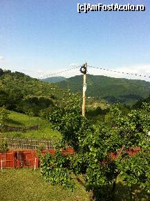 [P01]  -- <small>// FĂRĂ DESCRIERE</small> » foto by soriin
 - 
<span class="allrVoted glyphicon glyphicon-heart hidden" id="av319829"></span>
<a class="m-l-10 hidden" id="sv319829" onclick="voting_Foto_DelVot(,319829,7539)" role="button">șterge vot <span class="glyphicon glyphicon-remove"></span></a>
<a id="v9319829" class=" c-red"  onclick="voting_Foto_SetVot(319829)" role="button"><span class="glyphicon glyphicon-heart-empty"></span> <b>LIKE</b> = Votează poza</a> <img class="hidden"  id="f319829W9" src="/imagini/loader.gif" border="0" /><span class="AjErrMes hidden" id="e319829ErM"></span>