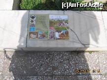 [P53] Pliant cu parohia Sf. Nicolae. » foto by balasa violeta
 - 
<span class="allrVoted glyphicon glyphicon-heart hidden" id="av201039"></span>
<a class="m-l-10 hidden" id="sv201039" onclick="voting_Foto_DelVot(,201039,7539)" role="button">șterge vot <span class="glyphicon glyphicon-remove"></span></a>
<a id="v9201039" class=" c-red"  onclick="voting_Foto_SetVot(201039)" role="button"><span class="glyphicon glyphicon-heart-empty"></span> <b>LIKE</b> = Votează poza</a> <img class="hidden"  id="f201039W9" src="/imagini/loader.gif" border="0" /><span class="AjErrMes hidden" id="e201039ErM"></span>