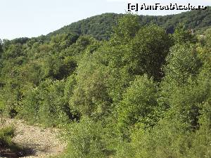 [P42] Albia râului Proviţa şi dealurile împădurite, văzute de pe al doilea pod.  » foto by Carmen Ion
 - 
<span class="allrVoted glyphicon glyphicon-heart hidden" id="av634511"></span>
<a class="m-l-10 hidden" id="sv634511" onclick="voting_Foto_DelVot(,634511,7539)" role="button">șterge vot <span class="glyphicon glyphicon-remove"></span></a>
<a id="v9634511" class=" c-red"  onclick="voting_Foto_SetVot(634511)" role="button"><span class="glyphicon glyphicon-heart-empty"></span> <b>LIKE</b> = Votează poza</a> <img class="hidden"  id="f634511W9" src="/imagini/loader.gif" border="0" /><span class="AjErrMes hidden" id="e634511ErM"></span>