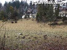 [P03]  -- <small>// FĂRĂ DESCRIERE</small> » foto by iman
 - 
<span class="allrVoted glyphicon glyphicon-heart hidden" id="av170202"></span>
<a class="m-l-10 hidden" id="sv170202" onclick="voting_Foto_DelVot(,170202,7548)" role="button">șterge vot <span class="glyphicon glyphicon-remove"></span></a>
<a id="v9170202" class=" c-red"  onclick="voting_Foto_SetVot(170202)" role="button"><span class="glyphicon glyphicon-heart-empty"></span> <b>LIKE</b> = Votează poza</a> <img class="hidden"  id="f170202W9" src="/imagini/loader.gif" border="0" /><span class="AjErrMes hidden" id="e170202ErM"></span>