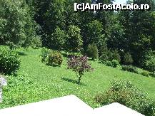 [P08] Domenul bine ingrijit. » foto by iman
 - 
<span class="allrVoted glyphicon glyphicon-heart hidden" id="av170208"></span>
<a class="m-l-10 hidden" id="sv170208" onclick="voting_Foto_DelVot(,170208,7548)" role="button">șterge vot <span class="glyphicon glyphicon-remove"></span></a>
<a id="v9170208" class=" c-red"  onclick="voting_Foto_SetVot(170208)" role="button"><span class="glyphicon glyphicon-heart-empty"></span> <b>LIKE</b> = Votează poza</a> <img class="hidden"  id="f170208W9" src="/imagini/loader.gif" border="0" /><span class="AjErrMes hidden" id="e170208ErM"></span>