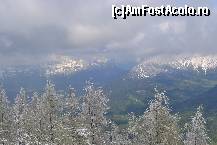 [P04]  -- <small>// FĂRĂ DESCRIERE</small> » foto by sigcristina
 - 
<span class="allrVoted glyphicon glyphicon-heart hidden" id="av321018"></span>
<a class="m-l-10 hidden" id="sv321018" onclick="voting_Foto_DelVot(,321018,7573)" role="button">șterge vot <span class="glyphicon glyphicon-remove"></span></a>
<a id="v9321018" class=" c-red"  onclick="voting_Foto_SetVot(321018)" role="button"><span class="glyphicon glyphicon-heart-empty"></span> <b>LIKE</b> = Votează poza</a> <img class="hidden"  id="f321018W9" src="/imagini/loader.gif" border="0" /><span class="AjErrMes hidden" id="e321018ErM"></span>