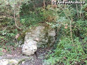 [P11] Atat a mai ramas din renumita rezidenta, Berghof » foto by claudiu 71
 - 
<span class="allrVoted glyphicon glyphicon-heart hidden" id="av673386"></span>
<a class="m-l-10 hidden" id="sv673386" onclick="voting_Foto_DelVot(,673386,7573)" role="button">șterge vot <span class="glyphicon glyphicon-remove"></span></a>
<a id="v9673386" class=" c-red"  onclick="voting_Foto_SetVot(673386)" role="button"><span class="glyphicon glyphicon-heart-empty"></span> <b>LIKE</b> = Votează poza</a> <img class="hidden"  id="f673386W9" src="/imagini/loader.gif" border="0" /><span class="AjErrMes hidden" id="e673386ErM"></span>