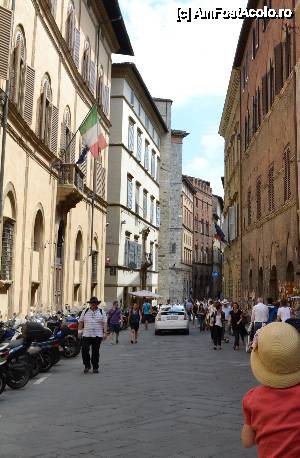 [P04]  -- <small>// FĂRĂ DESCRIERE</small> » foto by cristian pinte
 - 
<span class="allrVoted glyphicon glyphicon-heart hidden" id="av439774"></span>
<a class="m-l-10 hidden" id="sv439774" onclick="voting_Foto_DelVot(,439774,7576)" role="button">șterge vot <span class="glyphicon glyphicon-remove"></span></a>
<a id="v9439774" class=" c-red"  onclick="voting_Foto_SetVot(439774)" role="button"><span class="glyphicon glyphicon-heart-empty"></span> <b>LIKE</b> = Votează poza</a> <img class="hidden"  id="f439774W9" src="/imagini/loader.gif" border="0" /><span class="AjErrMes hidden" id="e439774ErM"></span>