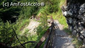 [P08] Parte a traseului de la Wolfsklamm, Tirolul de Est, Austria.  » foto by traian.leuca †
 - 
<span class="allrVoted glyphicon glyphicon-heart hidden" id="av1048878"></span>
<a class="m-l-10 hidden" id="sv1048878" onclick="voting_Foto_DelVot(,1048878,7577)" role="button">șterge vot <span class="glyphicon glyphicon-remove"></span></a>
<a id="v91048878" class=" c-red"  onclick="voting_Foto_SetVot(1048878)" role="button"><span class="glyphicon glyphicon-heart-empty"></span> <b>LIKE</b> = Votează poza</a> <img class="hidden"  id="f1048878W9" src="/imagini/loader.gif" border="0" /><span class="AjErrMes hidden" id="e1048878ErM"></span>