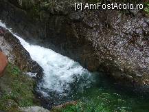 [P14] Drumul catre locul de canyoning: aici apa are 2,5 m adancime » foto by Delight
 - 
<span class="allrVoted glyphicon glyphicon-heart hidden" id="av141596"></span>
<a class="m-l-10 hidden" id="sv141596" onclick="voting_Foto_DelVot(,141596,7579)" role="button">șterge vot <span class="glyphicon glyphicon-remove"></span></a>
<a id="v9141596" class=" c-red"  onclick="voting_Foto_SetVot(141596)" role="button"><span class="glyphicon glyphicon-heart-empty"></span> <b>LIKE</b> = Votează poza</a> <img class="hidden"  id="f141596W9" src="/imagini/loader.gif" border="0" /><span class="AjErrMes hidden" id="e141596ErM"></span>