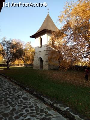 [P01] Biserca Arbore - turnul clopotniță » foto by Daisy Petal
 - 
<span class="allrVoted glyphicon glyphicon-heart hidden" id="av1162879"></span>
<a class="m-l-10 hidden" id="sv1162879" onclick="voting_Foto_DelVot(,1162879,7580)" role="button">șterge vot <span class="glyphicon glyphicon-remove"></span></a>
<a id="v91162879" class=" c-red"  onclick="voting_Foto_SetVot(1162879)" role="button"><span class="glyphicon glyphicon-heart-empty"></span> <b>LIKE</b> = Votează poza</a> <img class="hidden"  id="f1162879W9" src="/imagini/loader.gif" border="0" /><span class="AjErrMes hidden" id="e1162879ErM"></span>