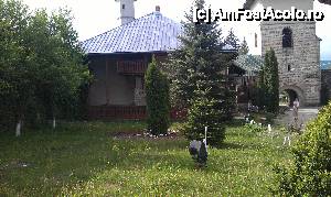 [P04] Turnul clopotniţă văzut din curtea Mănăstirii Râşca, com. Bogdăneşti, sat Râşca, jud. Suceava.  » foto by traian.leuca †
 - 
<span class="allrVoted glyphicon glyphicon-heart hidden" id="av432512"></span>
<a class="m-l-10 hidden" id="sv432512" onclick="voting_Foto_DelVot(,432512,7583)" role="button">șterge vot <span class="glyphicon glyphicon-remove"></span></a>
<a id="v9432512" class=" c-red"  onclick="voting_Foto_SetVot(432512)" role="button"><span class="glyphicon glyphicon-heart-empty"></span> <b>LIKE</b> = Votează poza</a> <img class="hidden"  id="f432512W9" src="/imagini/loader.gif" border="0" /><span class="AjErrMes hidden" id="e432512ErM"></span>
