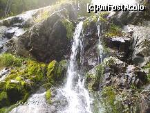 [P03] cascada Varciorog » foto by corinamocanu
 - 
<span class="allrVoted glyphicon glyphicon-heart hidden" id="av233108"></span>
<a class="m-l-10 hidden" id="sv233108" onclick="voting_Foto_DelVot(,233108,7649)" role="button">șterge vot <span class="glyphicon glyphicon-remove"></span></a>
<a id="v9233108" class=" c-red"  onclick="voting_Foto_SetVot(233108)" role="button"><span class="glyphicon glyphicon-heart-empty"></span> <b>LIKE</b> = Votează poza</a> <img class="hidden"  id="f233108W9" src="/imagini/loader.gif" border="0" /><span class="AjErrMes hidden" id="e233108ErM"></span>