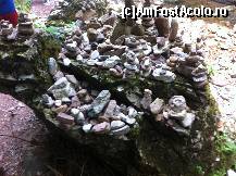 [P29]  -- <small>// FĂRĂ DESCRIERE</small> » foto by andraz
 - 
<span class="allrVoted glyphicon glyphicon-heart hidden" id="av461482"></span>
<a class="m-l-10 hidden" id="sv461482" onclick="voting_Foto_DelVot(,461482,7649)" role="button">șterge vot <span class="glyphicon glyphicon-remove"></span></a>
<a id="v9461482" class=" c-red"  onclick="voting_Foto_SetVot(461482)" role="button"><span class="glyphicon glyphicon-heart-empty"></span> <b>LIKE</b> = Votează poza</a> <img class="hidden"  id="f461482W9" src="/imagini/loader.gif" border="0" /><span class="AjErrMes hidden" id="e461482ErM"></span>
