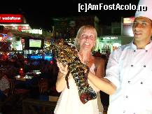 [P18] O tipa ..care zambea fortat..:) » foto by teststation
 - 
<span class="allrVoted glyphicon glyphicon-heart hidden" id="av146202"></span>
<a class="m-l-10 hidden" id="sv146202" onclick="voting_Foto_DelVot(,146202,7663)" role="button">șterge vot <span class="glyphicon glyphicon-remove"></span></a>
<a id="v9146202" class=" c-red"  onclick="voting_Foto_SetVot(146202)" role="button"><span class="glyphicon glyphicon-heart-empty"></span> <b>LIKE</b> = Votează poza</a> <img class="hidden"  id="f146202W9" src="/imagini/loader.gif" border="0" /><span class="AjErrMes hidden" id="e146202ErM"></span>