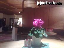 [P17]  -- <small>// FĂRĂ DESCRIERE</small> » foto by irma_ro*
 - 
<span class="allrVoted glyphicon glyphicon-heart hidden" id="av146509"></span>
<a class="m-l-10 hidden" id="sv146509" onclick="voting_Foto_DelVot(,146509,7675)" role="button">șterge vot <span class="glyphicon glyphicon-remove"></span></a>
<a id="v9146509" class=" c-red"  onclick="voting_Foto_SetVot(146509)" role="button"><span class="glyphicon glyphicon-heart-empty"></span> <b>LIKE</b> = Votează poza</a> <img class="hidden"  id="f146509W9" src="/imagini/loader.gif" border="0" /><span class="AjErrMes hidden" id="e146509ErM"></span>