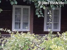 [P06]  -- <small>// FĂRĂ DESCRIERE</small> » foto by cristi7904
 - 
<span class="allrVoted glyphicon glyphicon-heart hidden" id="av267654"></span>
<a class="m-l-10 hidden" id="sv267654" onclick="voting_Foto_DelVot(,267654,7688)" role="button">șterge vot <span class="glyphicon glyphicon-remove"></span></a>
<a id="v9267654" class=" c-red"  onclick="voting_Foto_SetVot(267654)" role="button"><span class="glyphicon glyphicon-heart-empty"></span> <b>LIKE</b> = Votează poza</a> <img class="hidden"  id="f267654W9" src="/imagini/loader.gif" border="0" /><span class="AjErrMes hidden" id="e267654ErM"></span>